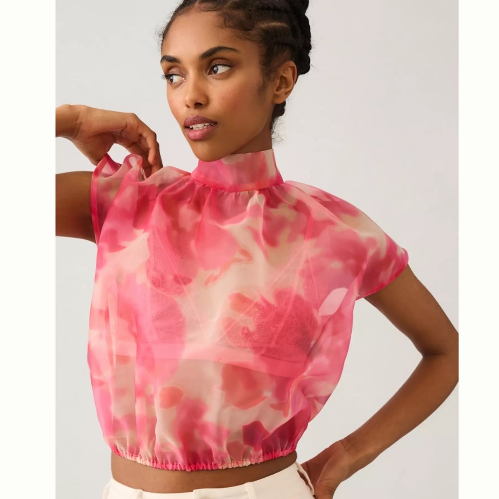 Sunday in Brooklyn Pink Sheer Tie Neck Blouse S Anthropologie
